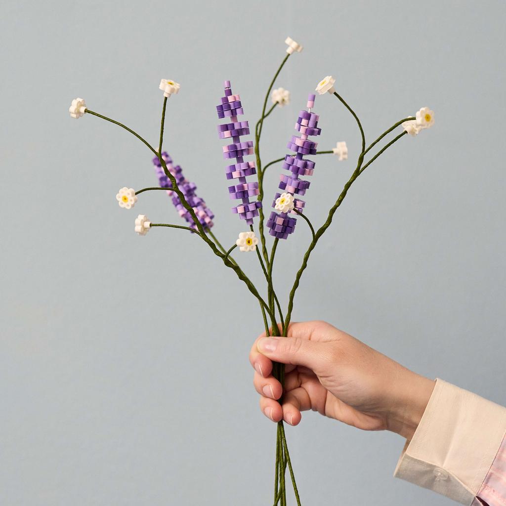 Blumen und Pflanzen