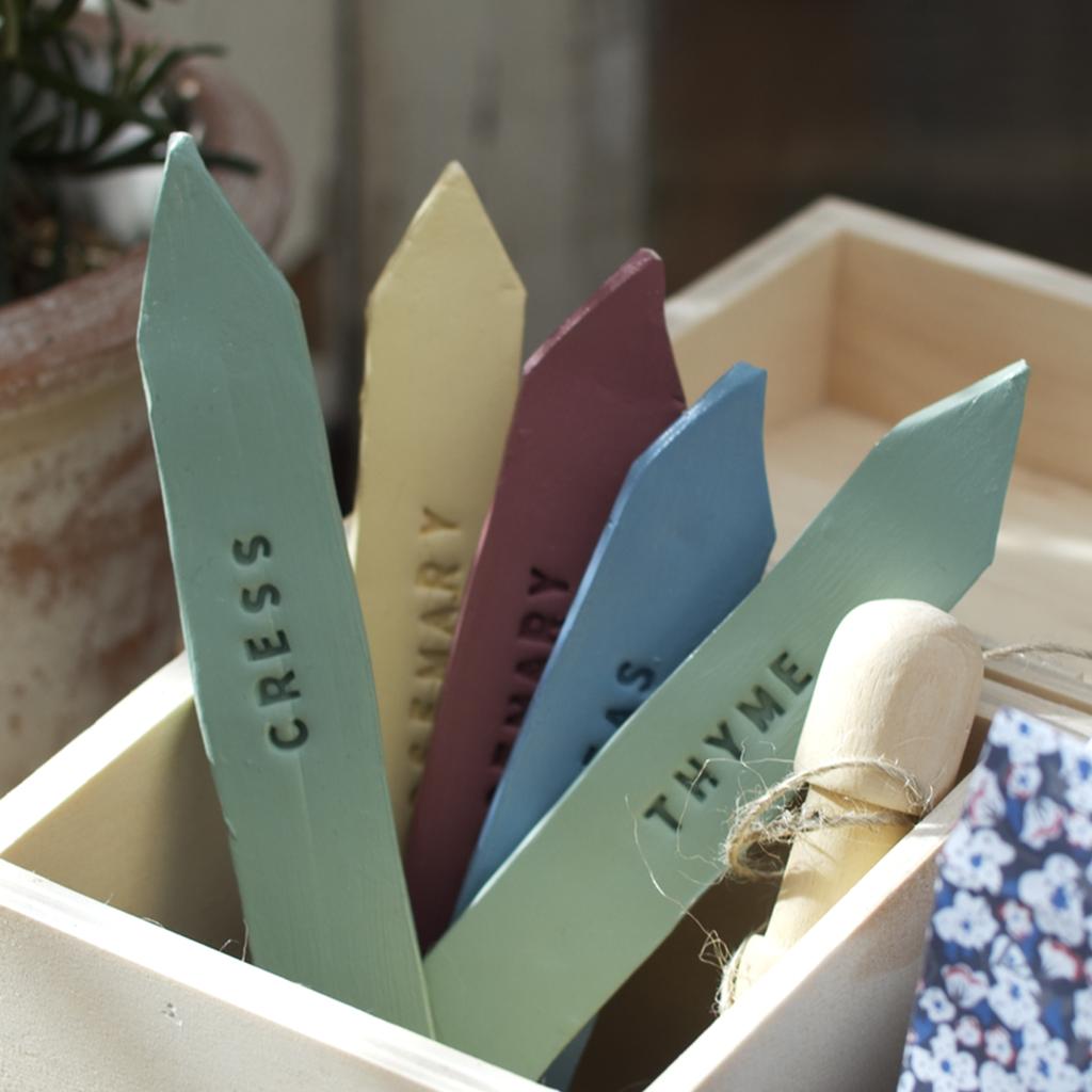 Make botanical artworks with cyanotype print