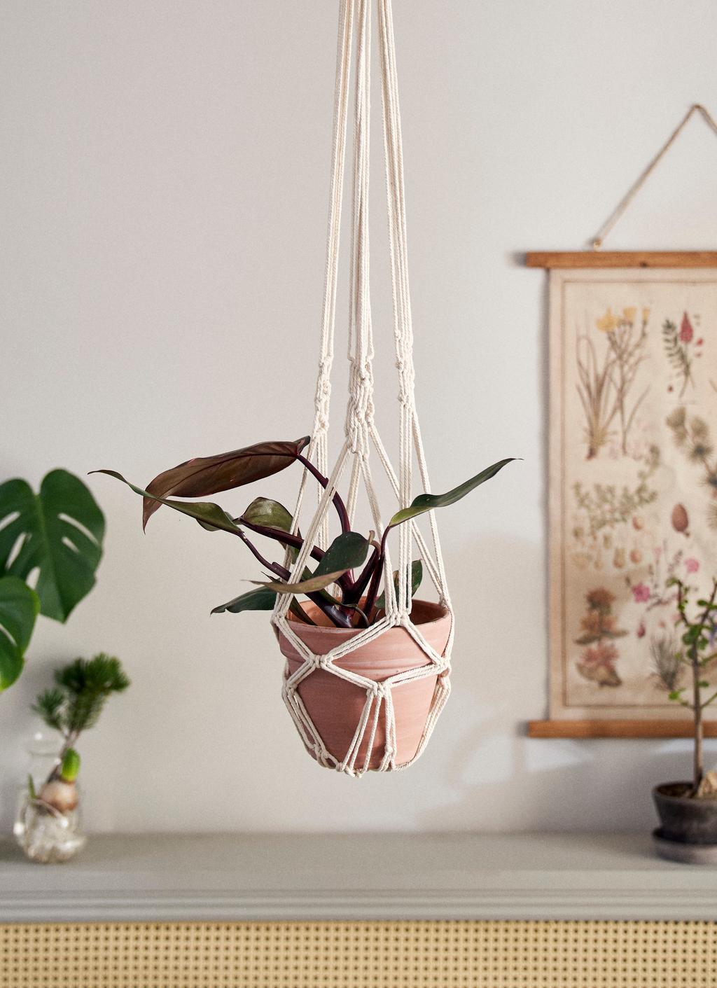 Macram plant hanger | DIY-projects | Sstrene Grene