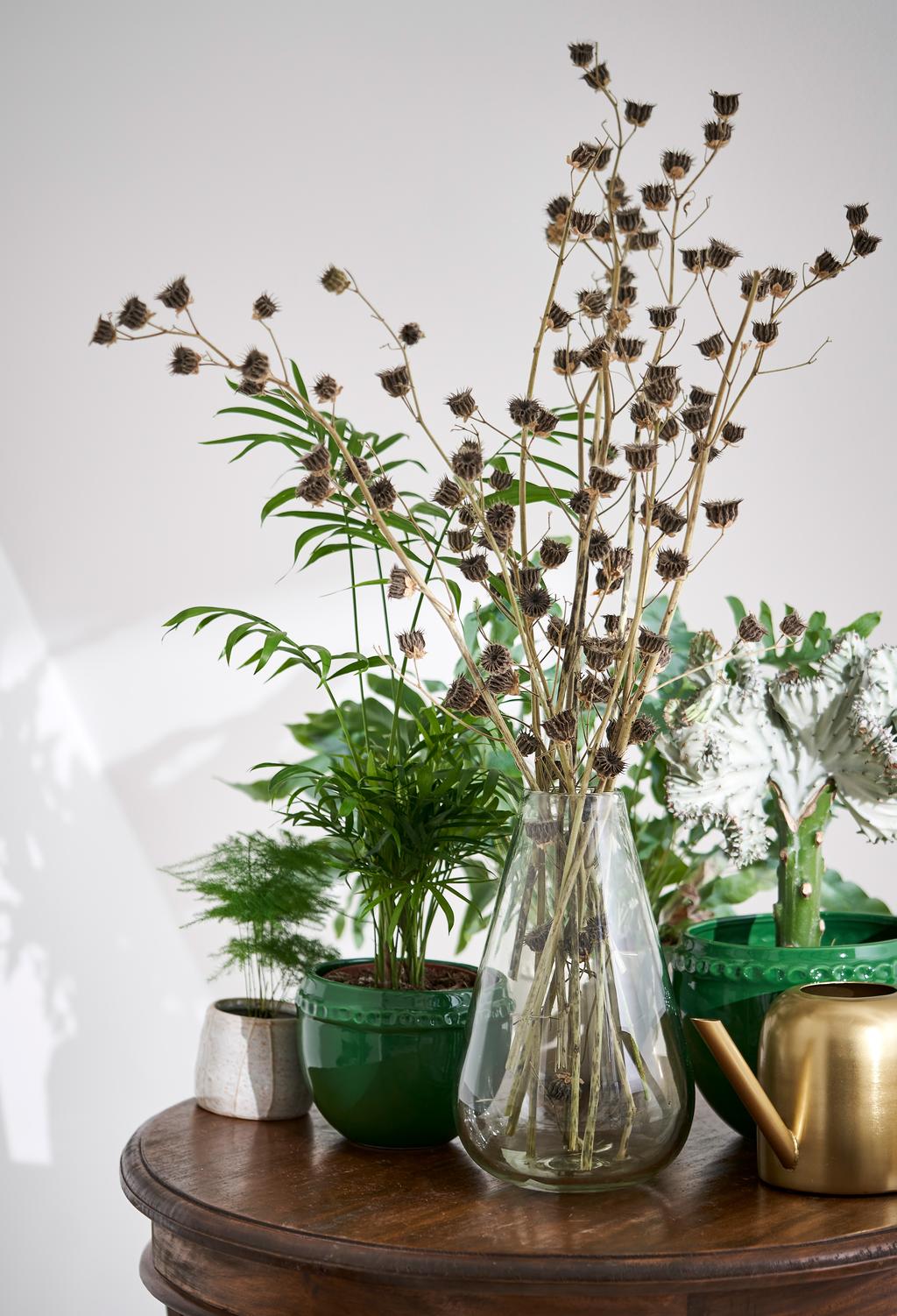 bamboo m music of the plants device Buy the Original PlantWave Device main image 0