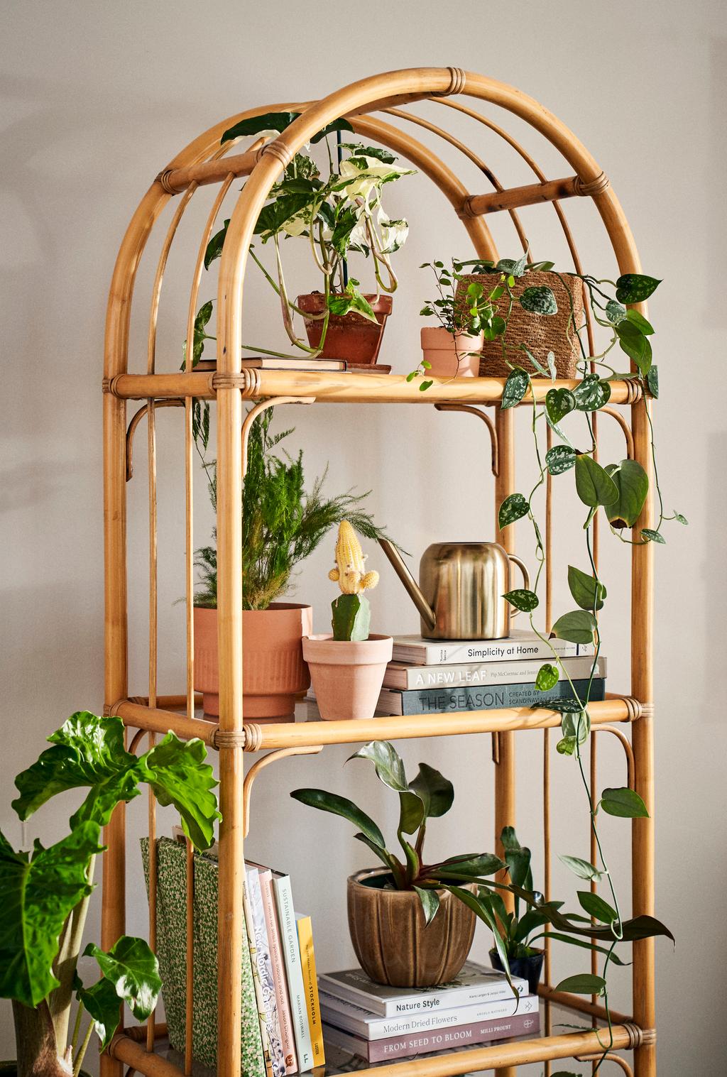 Mit schnen Pflanzen wohnen | Sstrene Grene