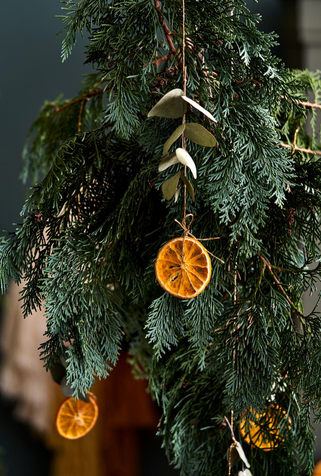 SJUNJIE 119 Stks Kerstkrans Maken Kit Kunstmatige Gedroogde Sinaasappel Plakjes Kaneel Sticks Dennennaald Steranijs Kerst Krans Accessoires Geschikt voor Kerst Evenement Decoratie